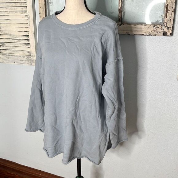 Eileen Fisher Womens Sweatshirt Boxy Tunic Crewneck Blue Size Extra Small NWT - Picture 2 of 12